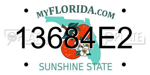 13684E2 Florida License Plate