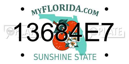13684E7 Florida License Plate