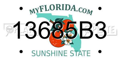 13685B3 Florida License Plate