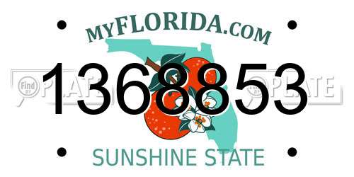 1368853 Florida License Plate