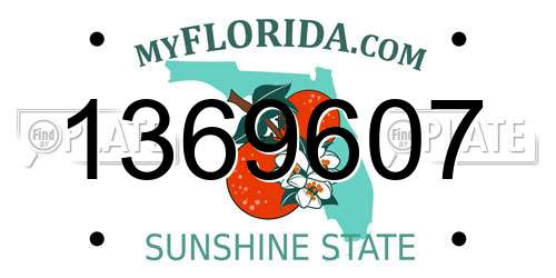 1369607 Florida License Plate