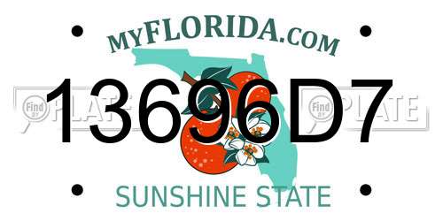 13696D7 Florida License Plate