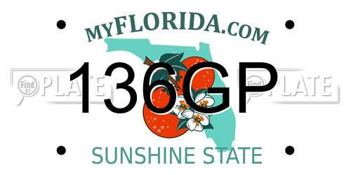 136GP Florida License Plate