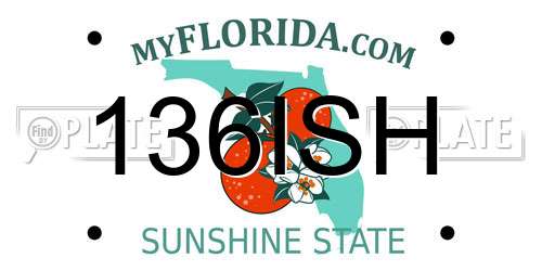 136ISH Florida License Plate