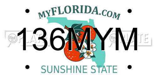 136MYM Florida License Plate