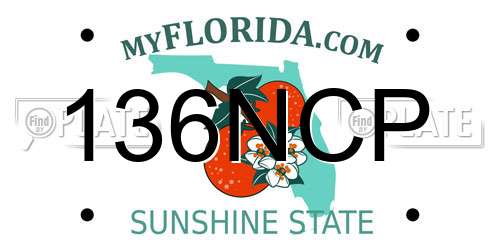 136NCP Florida License Plate
