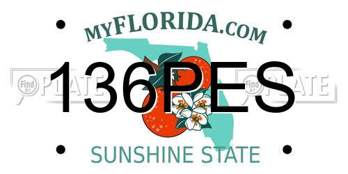 136PES Florida License Plate