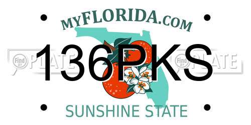 136PKS Florida License Plate