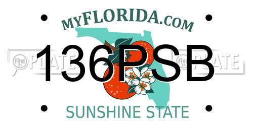 136PSB Florida License Plate