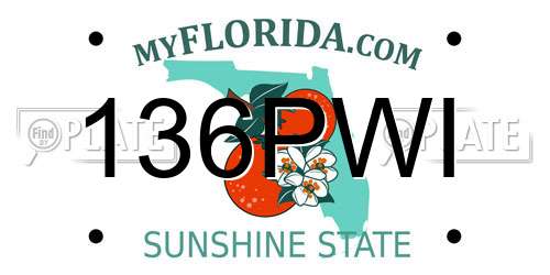 136PWI Florida License Plate