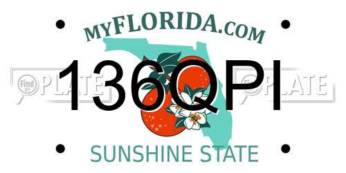 136QPI Florida License Plate