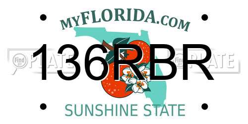 136RBR Florida License Plate