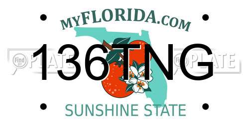 136TNG Florida License Plate