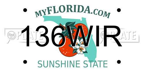 136WIR Florida License Plate