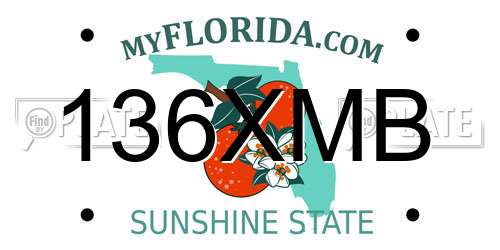 136XMB Florida License Plate
