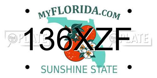 136XZF Florida License Plate