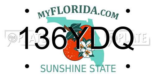 136YDQ Florida License Plate
