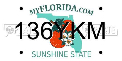 136YKM Florida License Plate