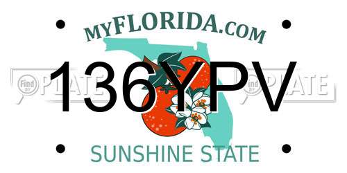 136YPV Florida License Plate