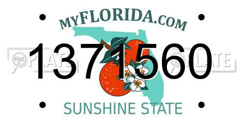 1371560 Florida License Plate