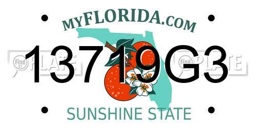 13719G3 Florida License Plate