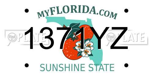 1371YZ Florida License Plate