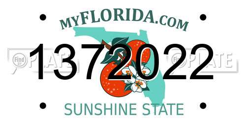 1372022 Florida License Plate