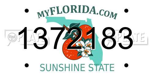 1372183 Florida License Plate