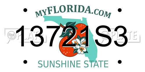 13721S3 Florida License Plate