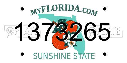 1373265 Florida License Plate