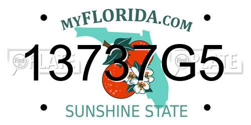 13737G5 Florida License Plate
