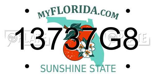 13737G8 Florida License Plate