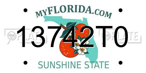 13742T0 Florida License Plate