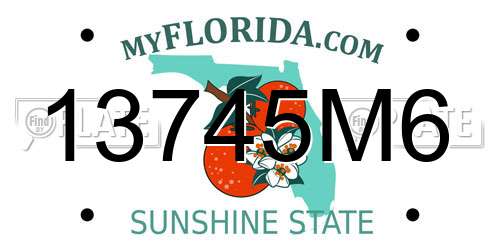 13745M6 Florida License Plate