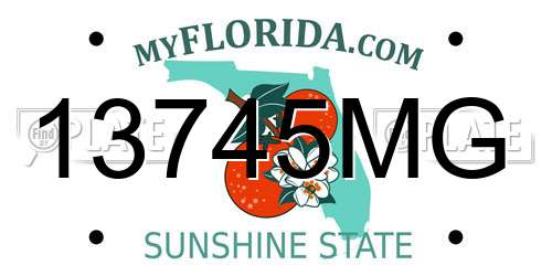 13745MG Florida License Plate