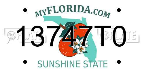 13747T0 Florida License Plate