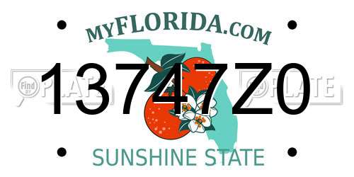 13747Z0 Florida License Plate