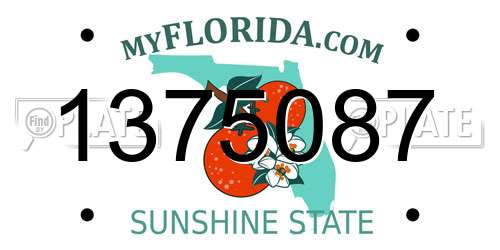 1375087 Florida License Plate