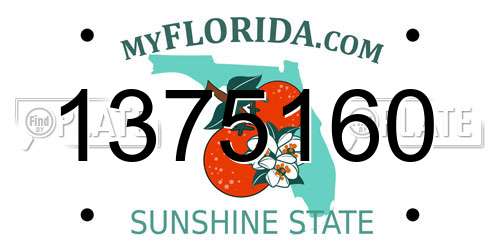 1375160 Florida License Plate