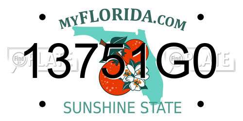 13751G0 Florida License Plate