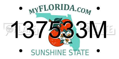 137533M Florida License Plate