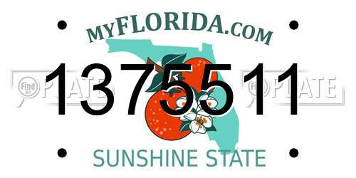 1375511 Florida License Plate
