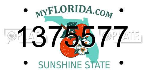 1375577 Florida License Plate