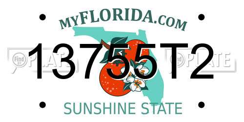 13755T2 Florida License Plate