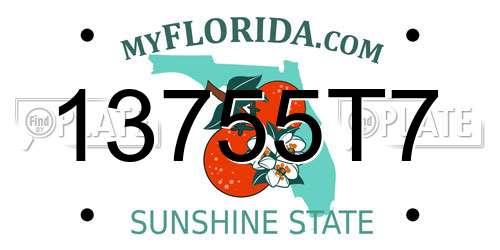 13755T7 Florida License Plate