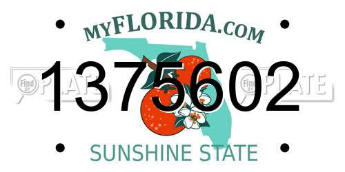 1375602 Florida License Plate