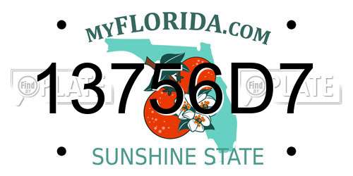 13756D7 Florida License Plate