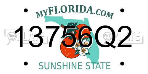 13756Q2 Florida License Plate