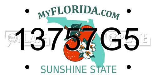 13757G5 Florida License Plate