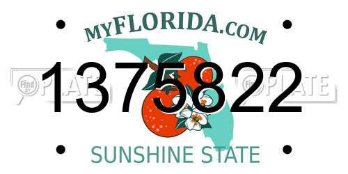 1375822 Florida License Plate